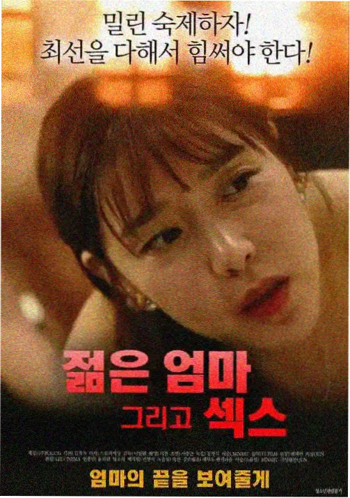 韩国动画《影子骑士：首尔篇》海报